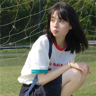 不进花瓶的洋甘菊